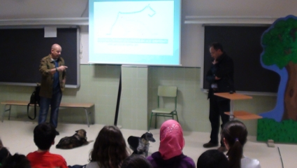 2013 PROTECTORA ANIMALES